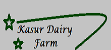 Kasur Dairy Farm